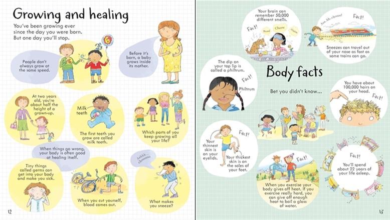 <Usborne> Look Inside Your Body 翻翻書