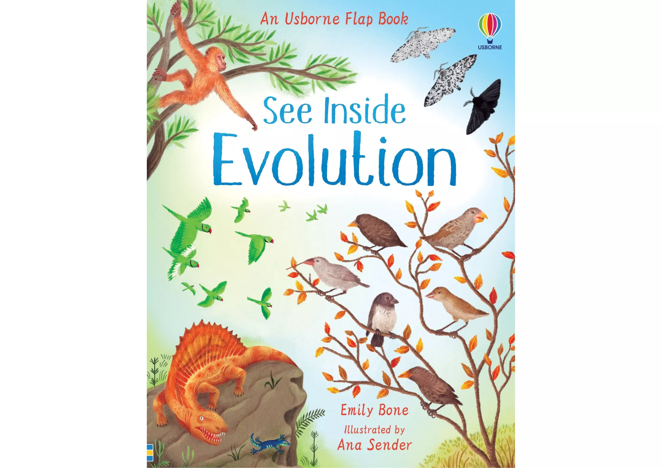 <Usborne> See Inside Evolution 翻翻書