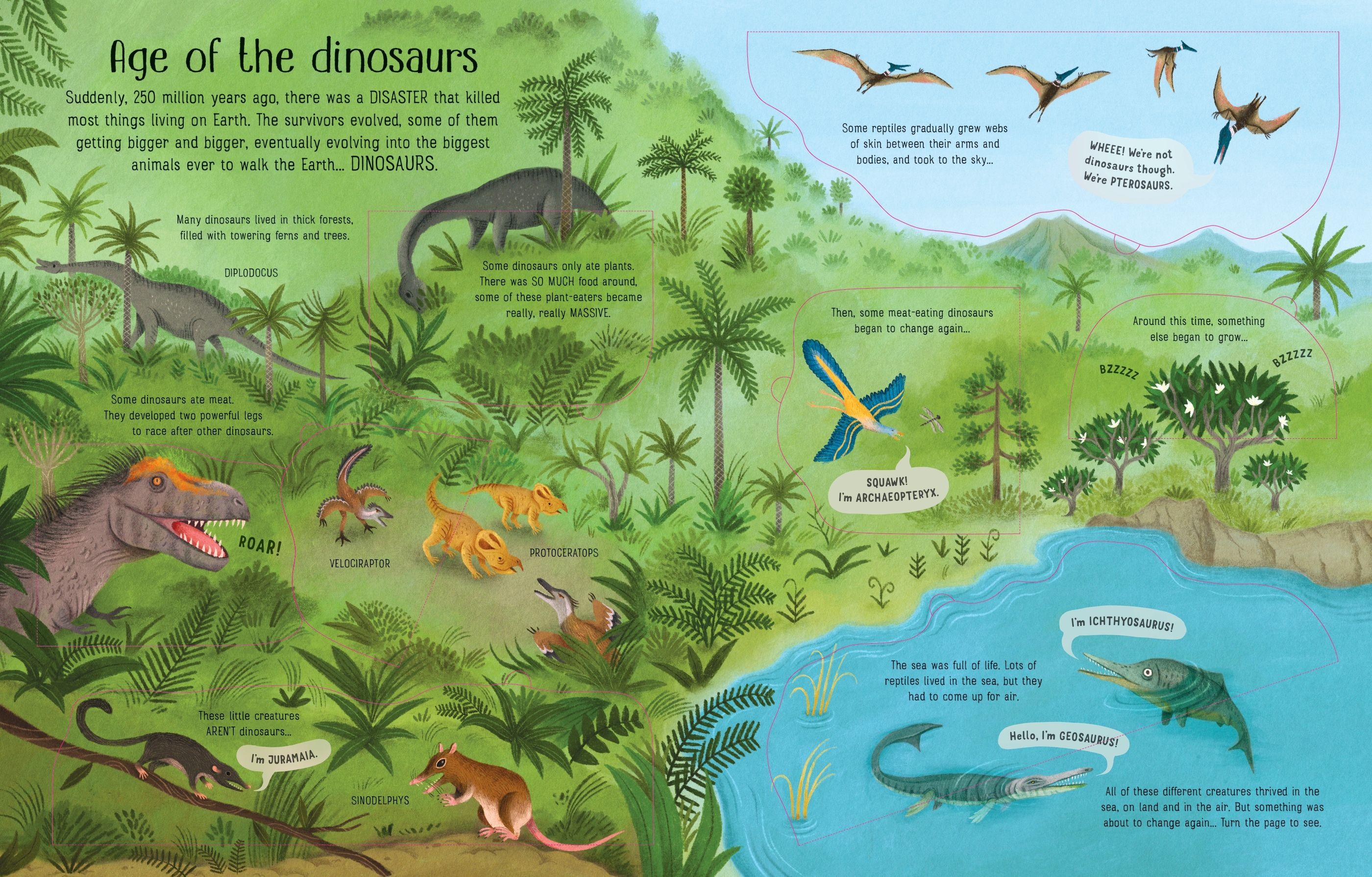 <Usborne> See Inside Evolution 翻翻書