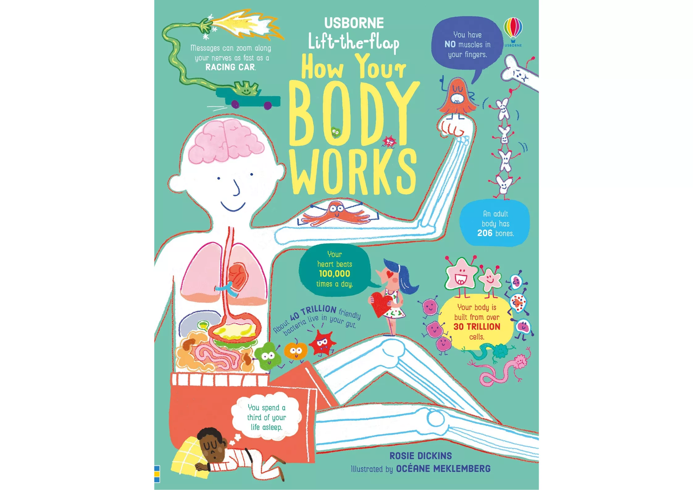 <Usborne> Lift-the-flap How Your Body Works 翻翻書