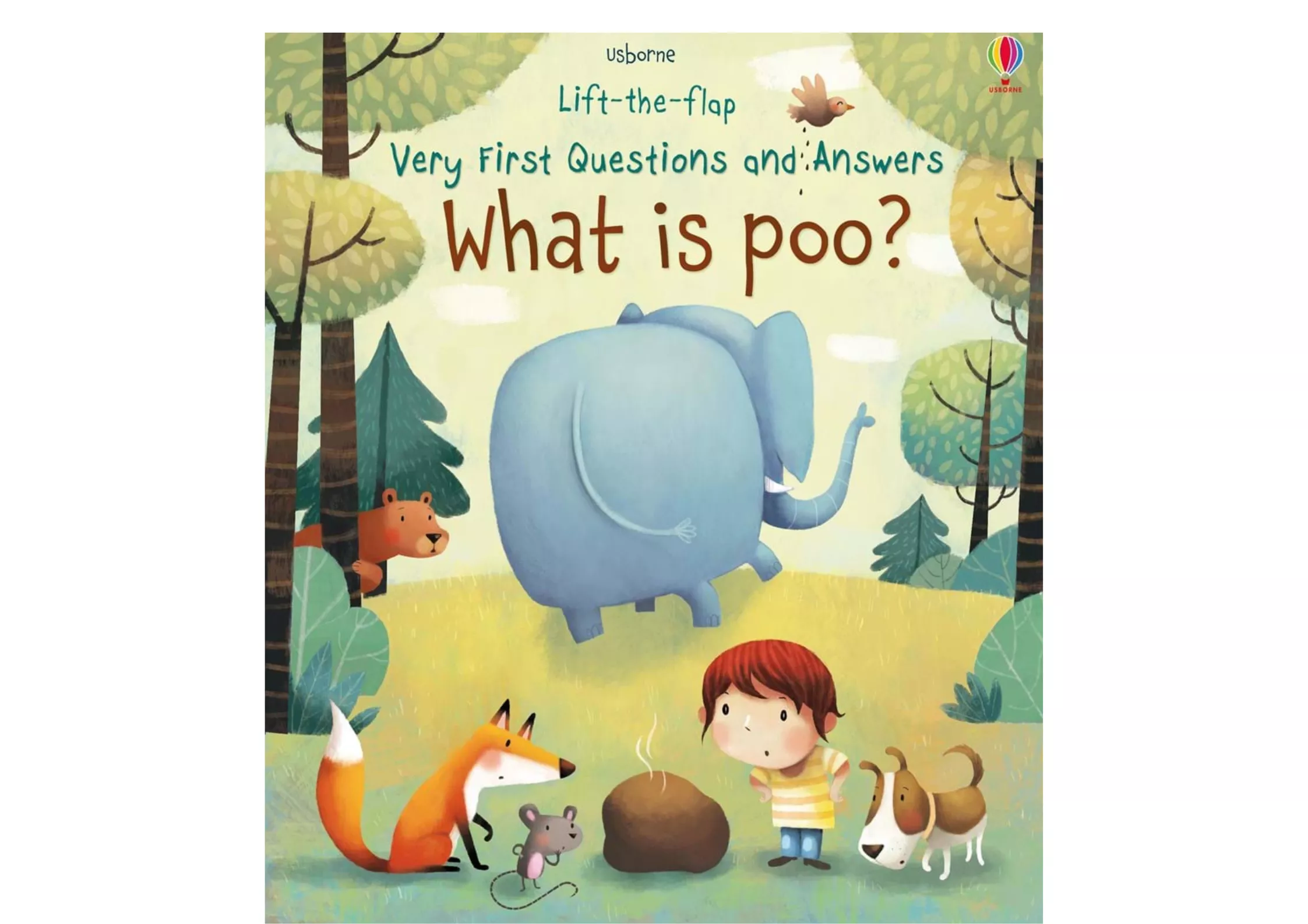<Usborne> Very First Questions and Answers系列 - What is poo? 翻翻書