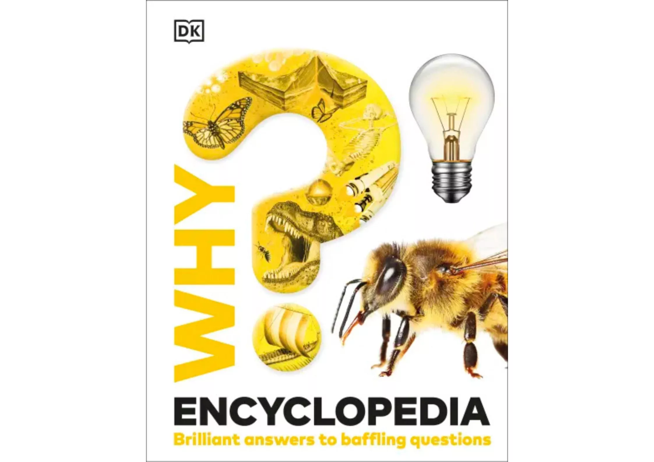 <DK> Why? Encyclopedia 精裝書 新版