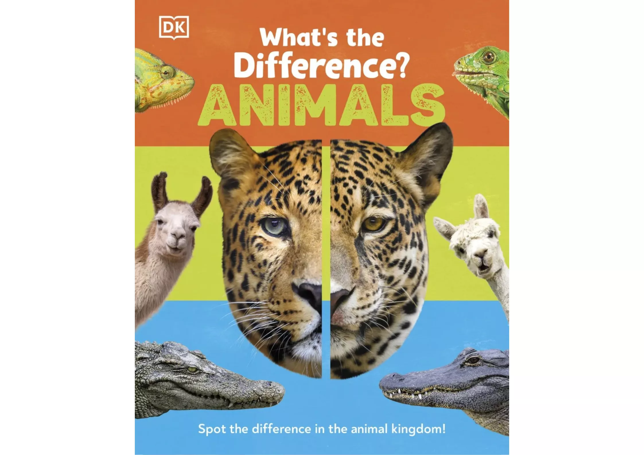 <DK> What's the Difference? Animals 精裝書