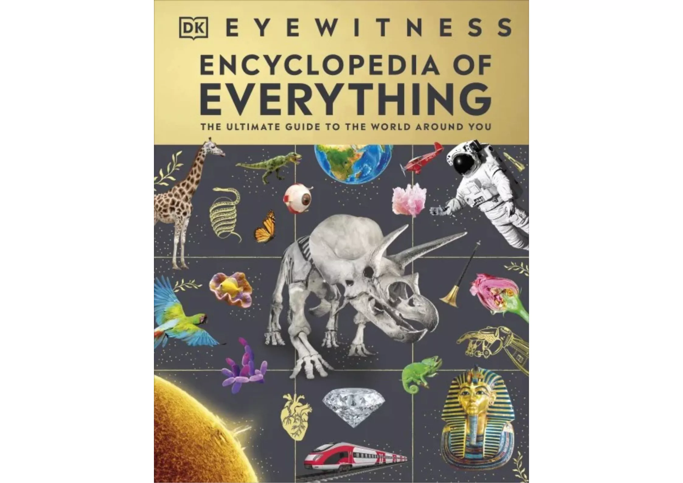 <DK> Eyewitness Encyclopedia of Everything 精裝書