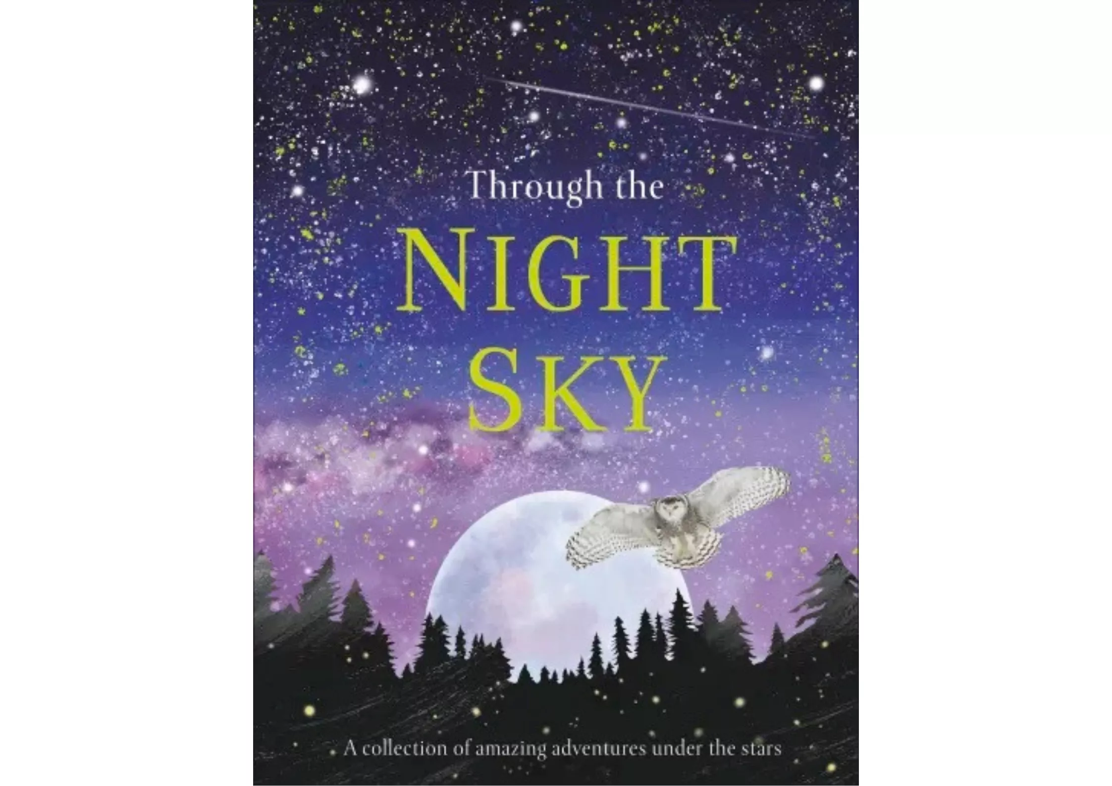 <DK> Through the Night Sky 精裝書