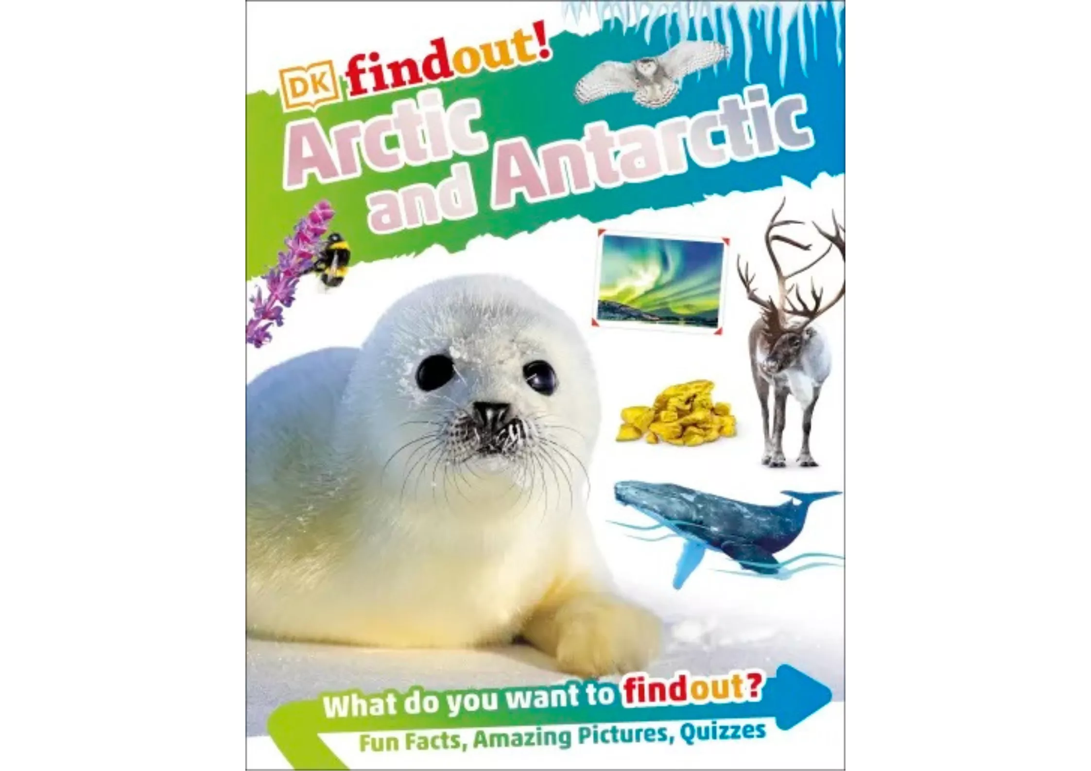 <DK> DKfindout! Arctic and Antarctic