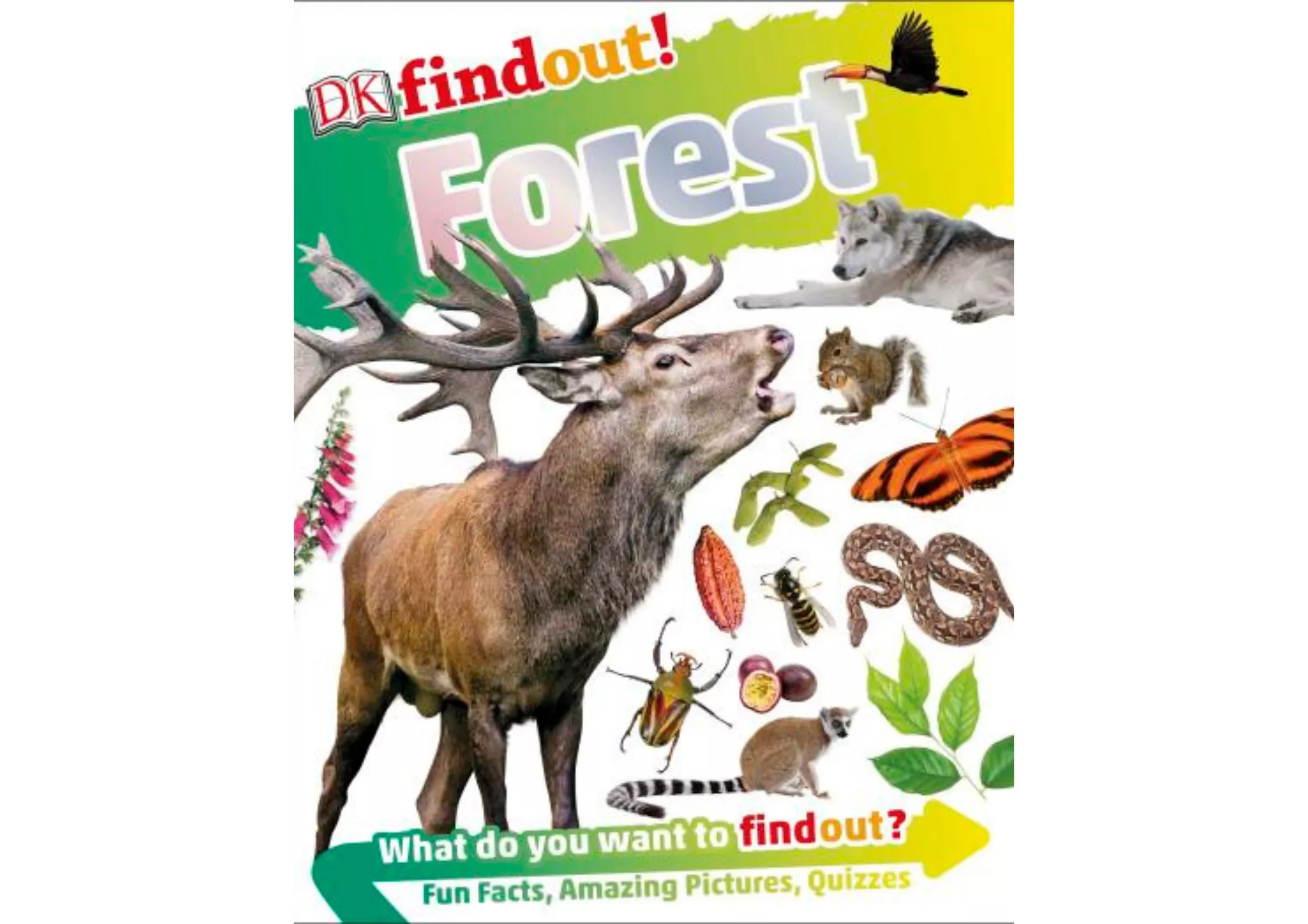 <DK> DKfindout! Forest