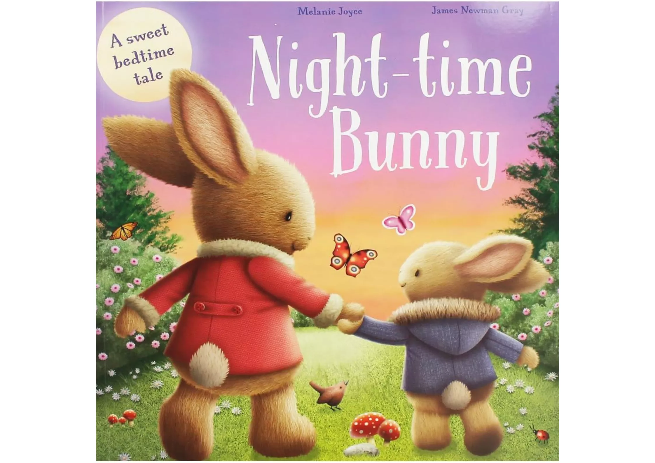 <Igloo Books> Night-time Bunny 兒童英文繪本
