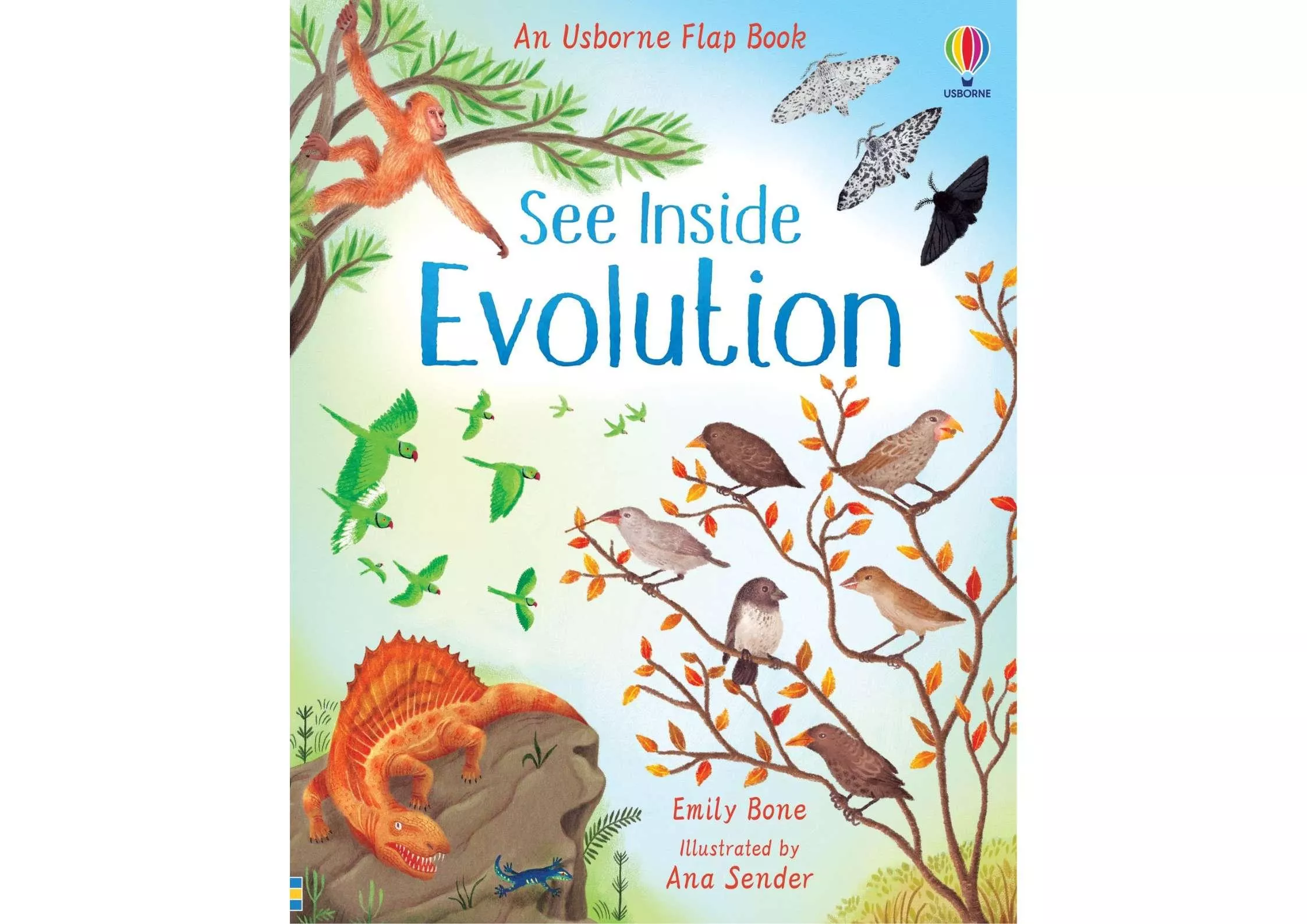 <Usborne> See Inside Evolution 翻翻書