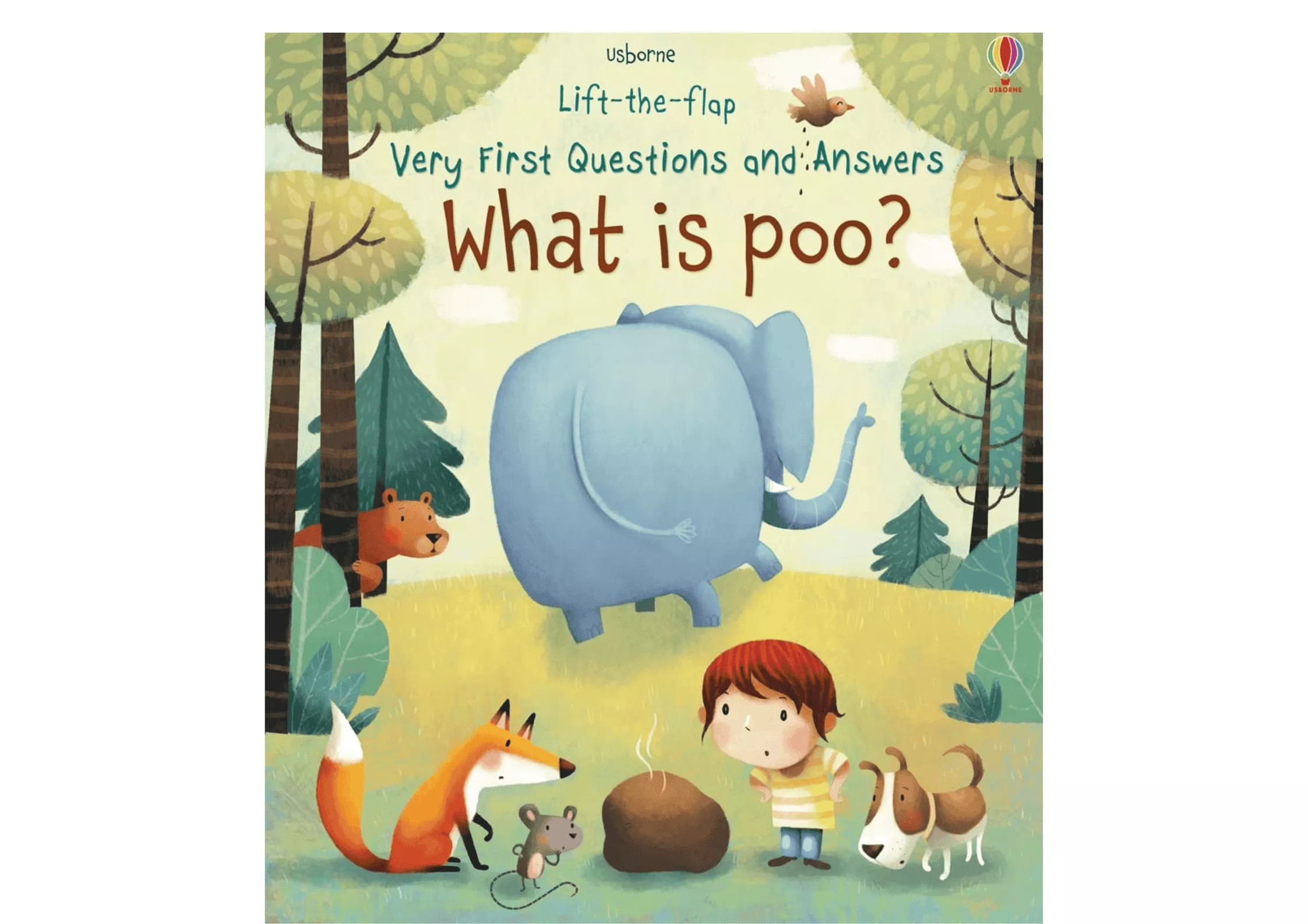 <Usborne> Very First Questions and Answers系列 - What is poo? 翻翻書