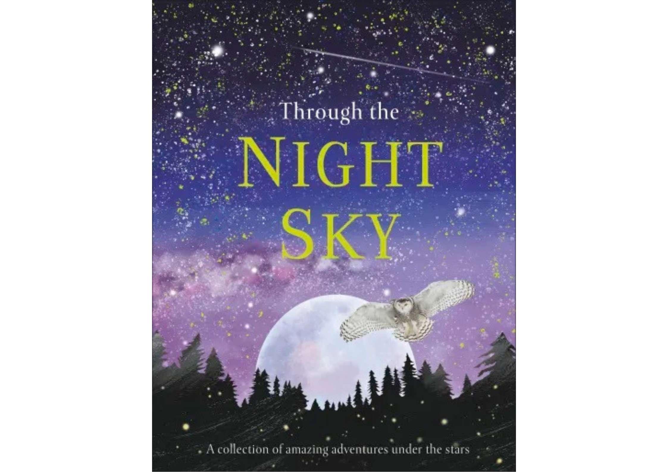<DK> Through the Night Sky 精裝書