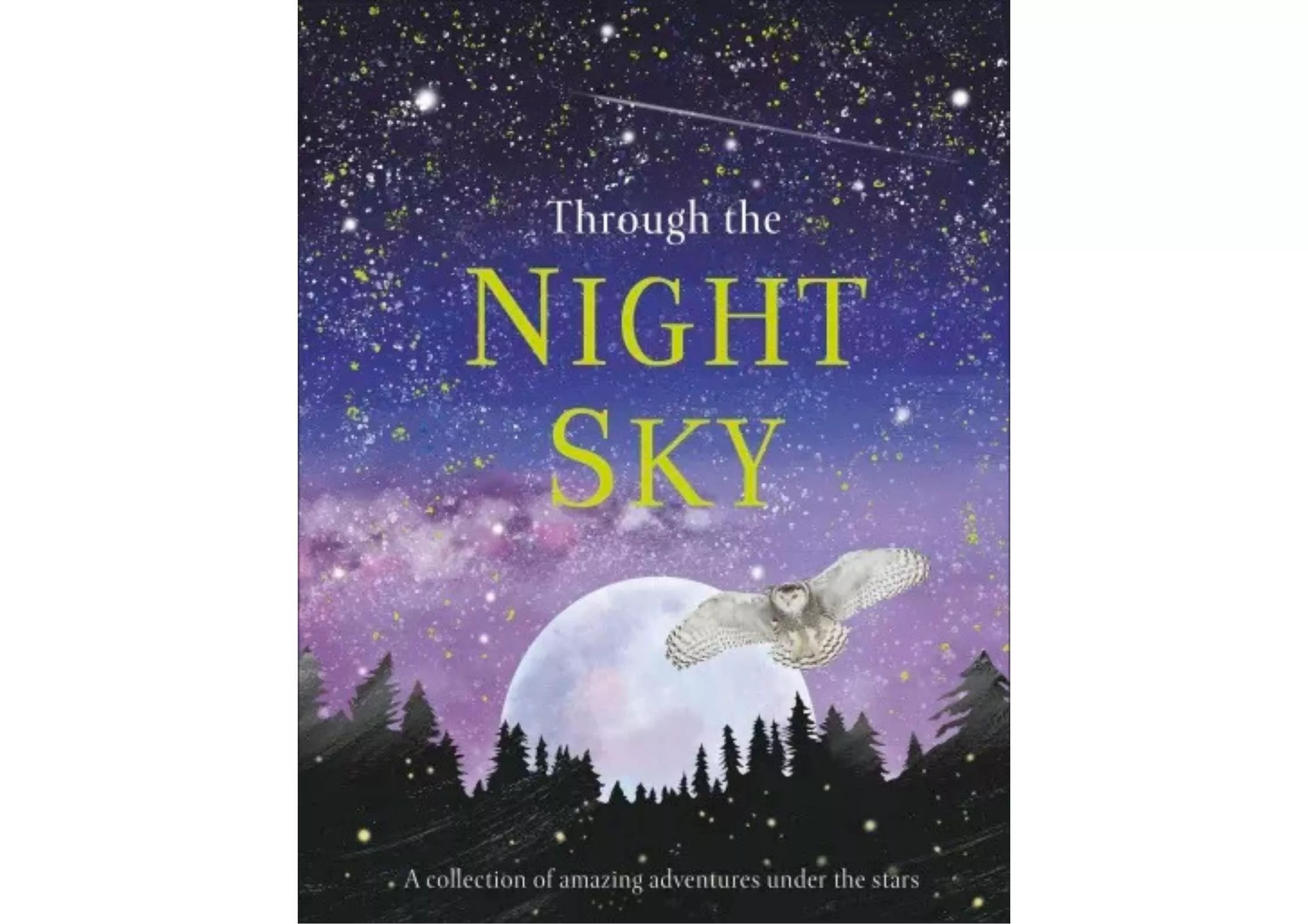 <DK> Through the Night Sky 精裝書