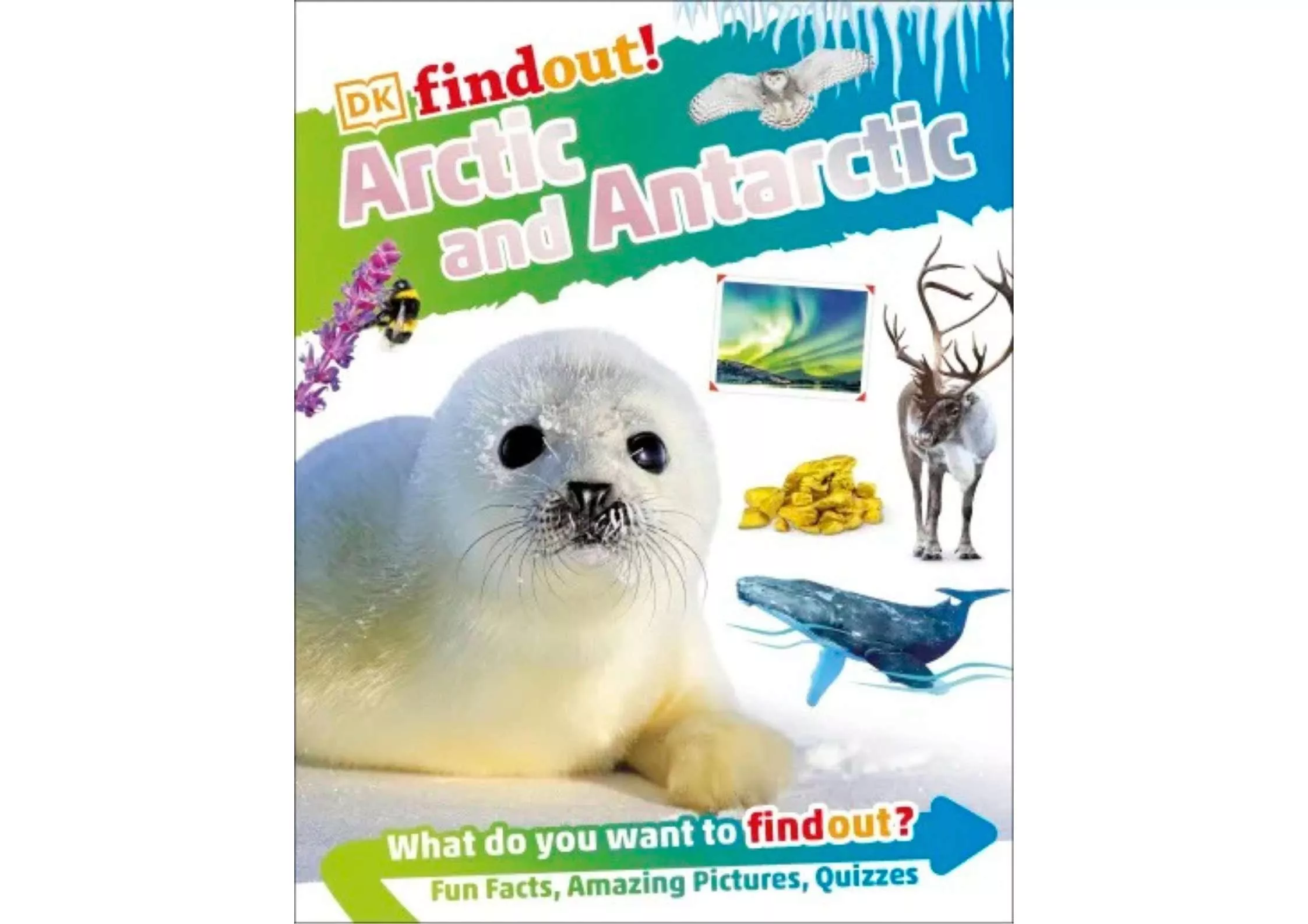 <DK> DKfindout! Arctic and Antarctic