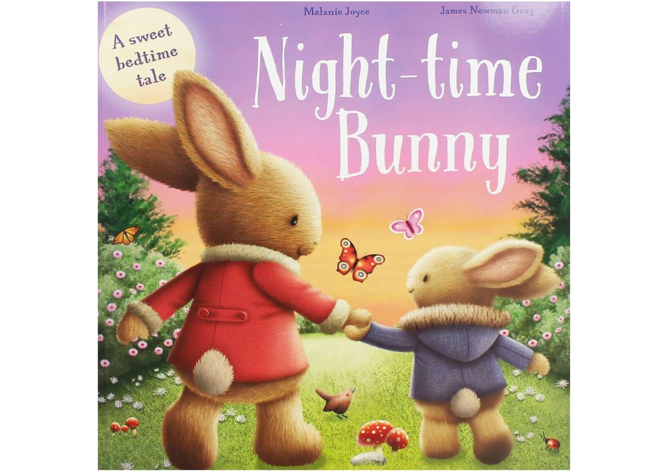 <Igloo Books> Night-time Bunny 兒童英文繪本