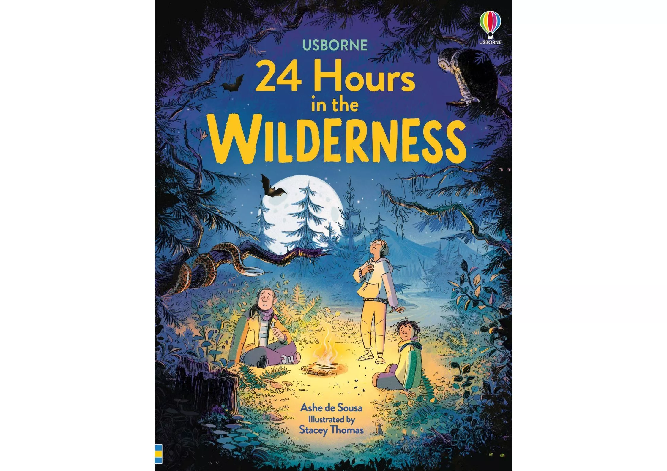 <Usborne> 24 Hours in the Wilderness 精裝書
