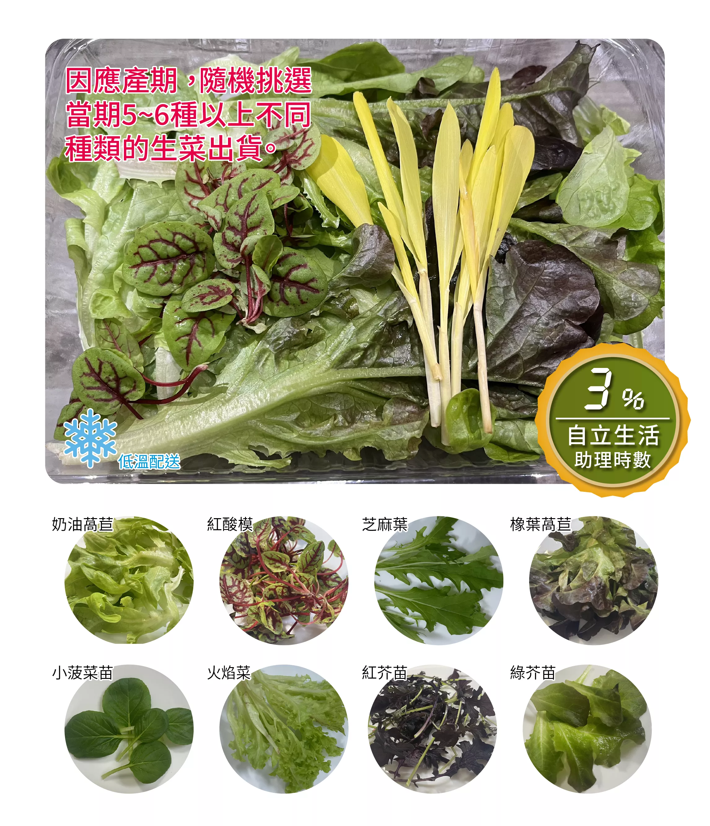 有機生菜組 (免洗即食) / 低溫配送