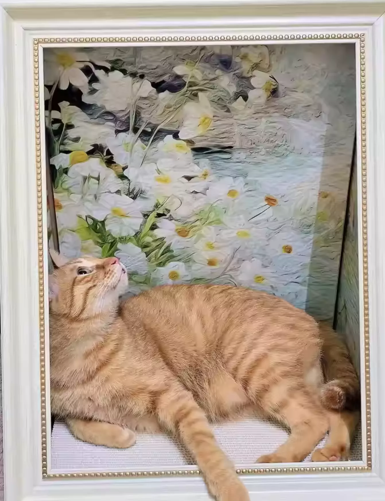 🐾現貨‼️世界名畫造型貓抓板｜讓你的貓貓增加藝術氣息🎨