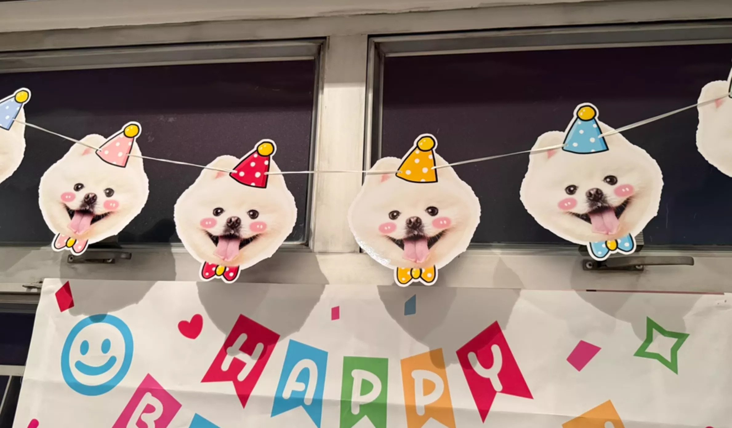 🐾客製寵物生日拉旗｜生日給寶貝滿滿的儀式感💕