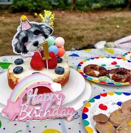 🐾客製寵物生日插牌｜生日給寶貝滿滿的儀式感💕