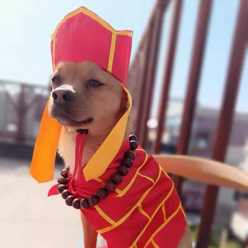 🐾三藏法師造型寵物衣服｜