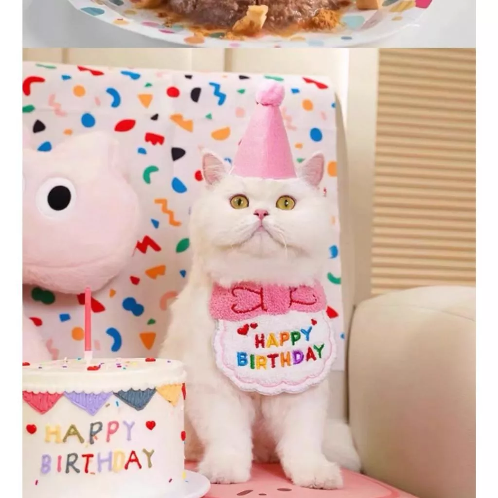 🐾寵物生日裝飾｜生日給寶貝滿滿的儀式感🎂請自行量好寶貝的尺寸是否適合‼️