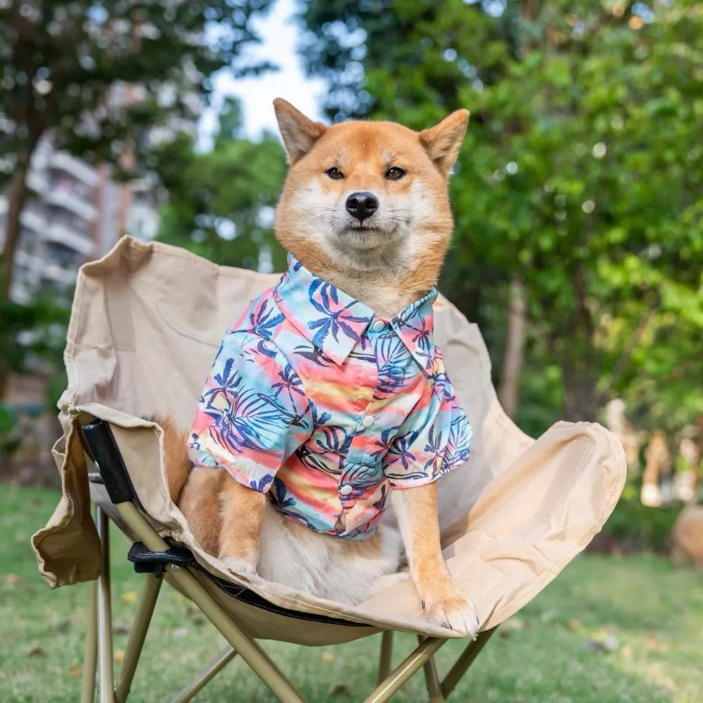 🐾夏威夷造型薄款衣服｜貓狗適用款🌴