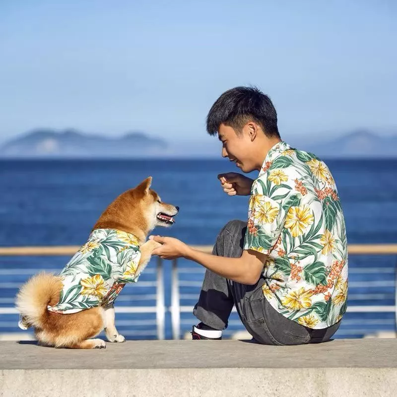 🐾寵物夏季親子裝｜跟寶貝穿著親子裝出遊吧🏝
