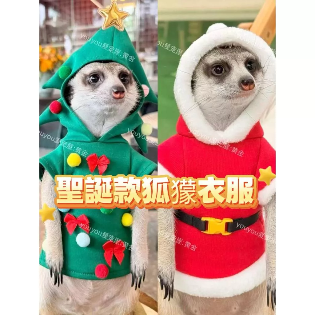 🐾狐獴聖誕款衣服｜超可愛❤️‍🔥聖誕老獴獴🎅🏻、聖誕獴🎄絕對不能錯過‼️