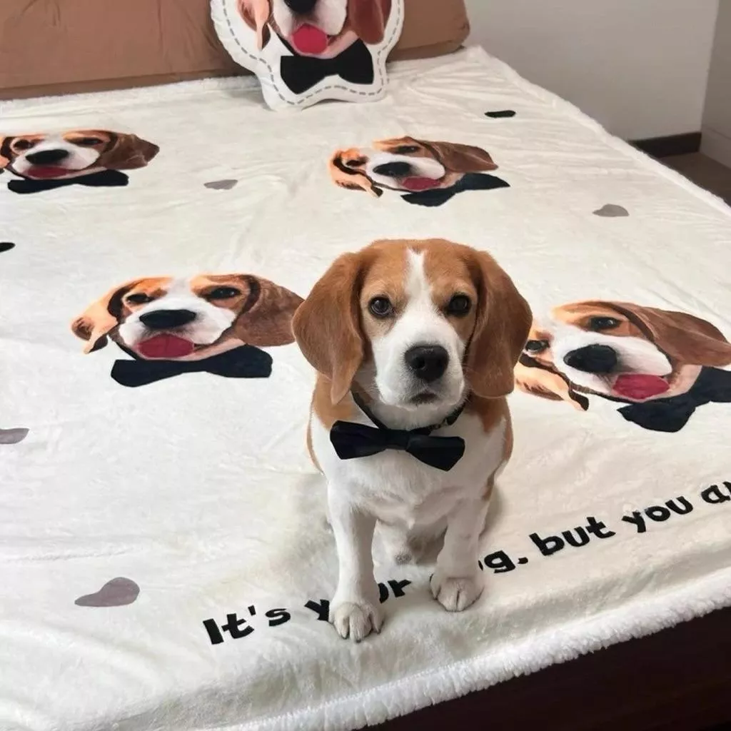 🐾客製化羊羔絨毛毯｜此款為厚款適合冬天❤️‍🔥請先詳看商品描述後聊聊討論好再下單‼️‼️歡迎團購、批發合作有優惠😍