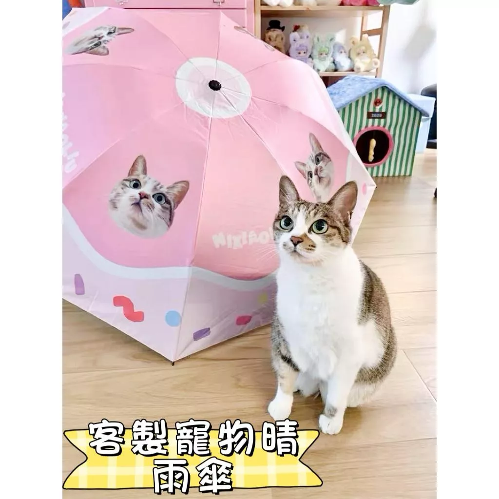 🎉新款🐾晴雨都有牠｜客製寵物傘，撐起專屬的陪伴感☂晴雨兩用傘，多種模板可選❤️‍🔥請先聊聊討論喔🫶🏼