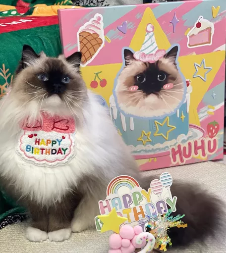 🎨客製手繪寵物無框畫｜把最愛掛在眼前🖼️多種款式可選❤️‍🔥