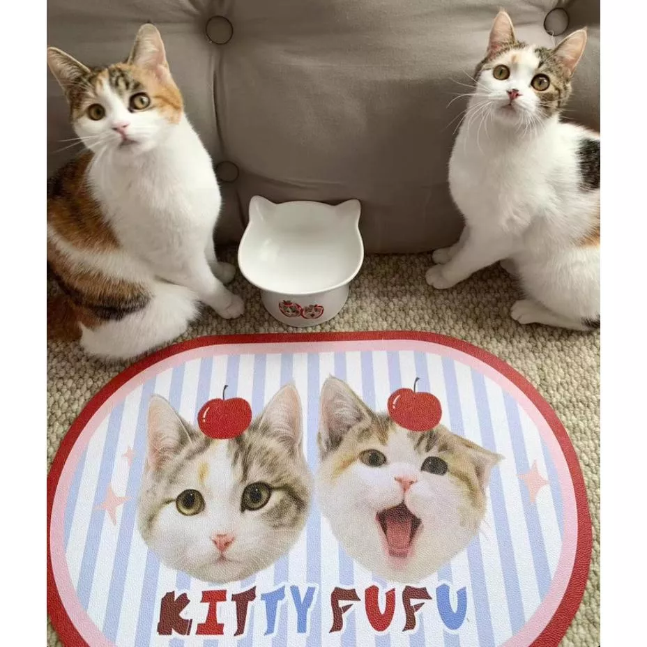 🍽️毛孩專屬餐墊｜吃飯也要有儀式感✨多種款式可選❤️‍🔥