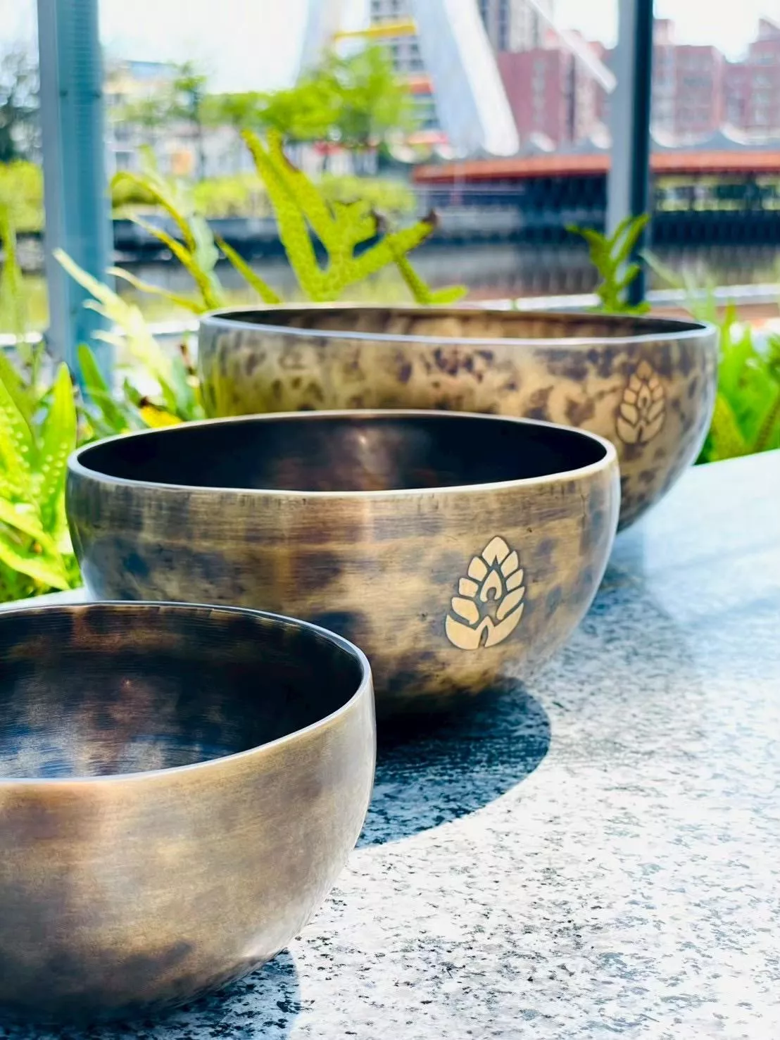 頌缽療育師工具