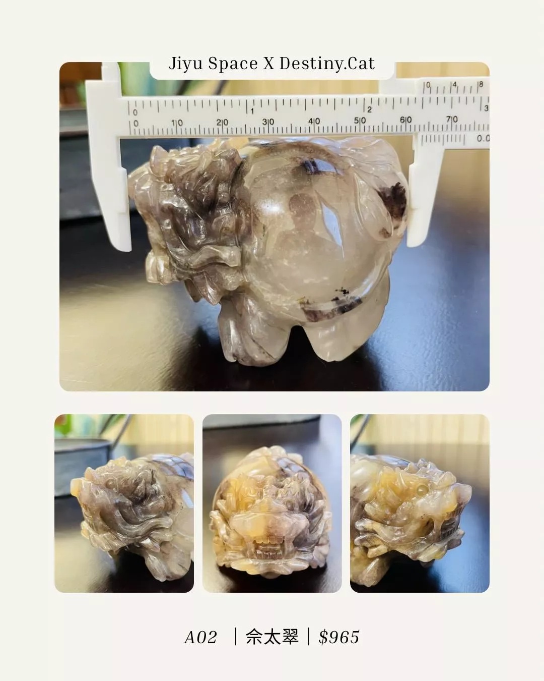 陪伴龍龜