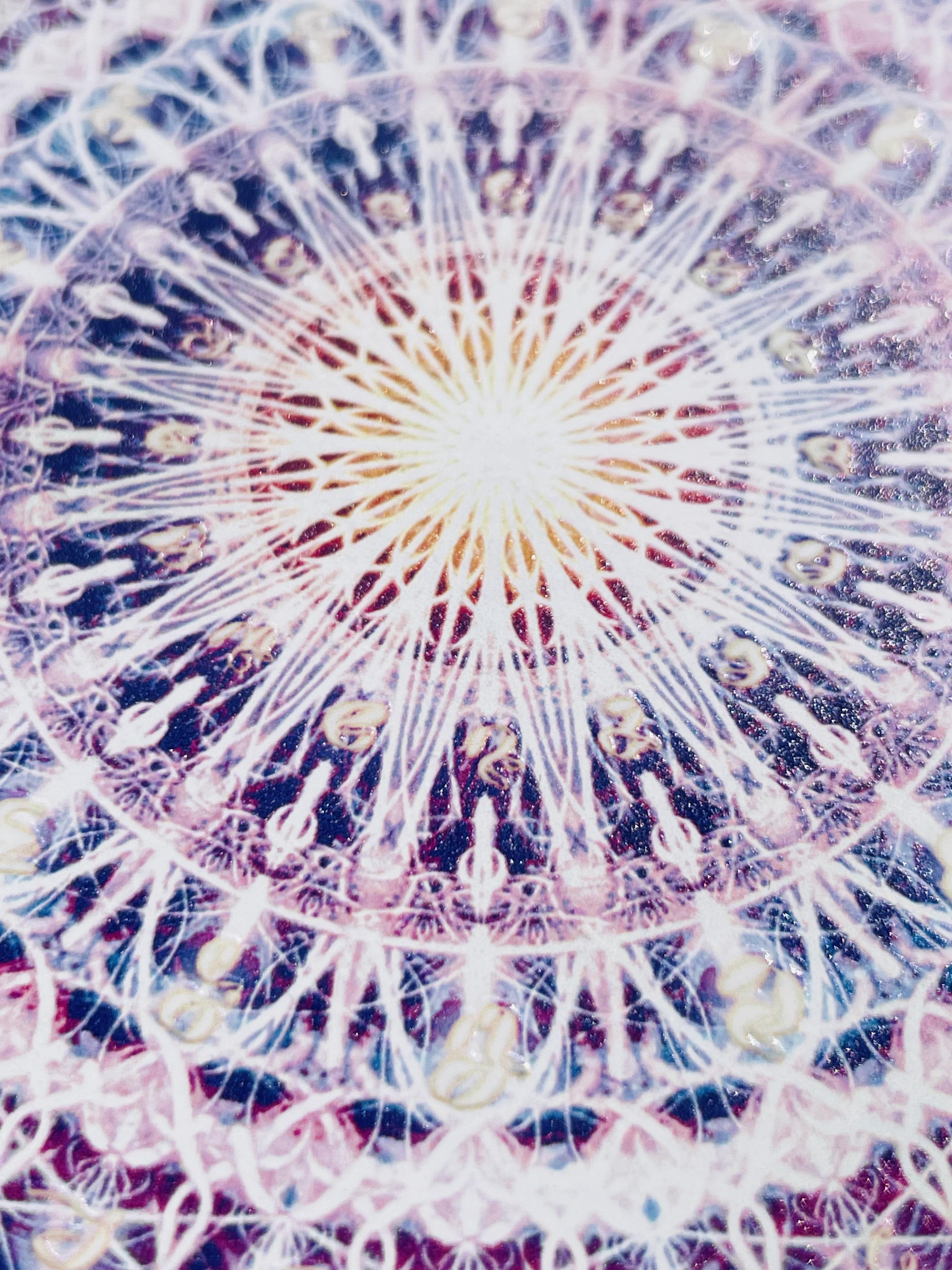 祝福光盤-獨角獸之星