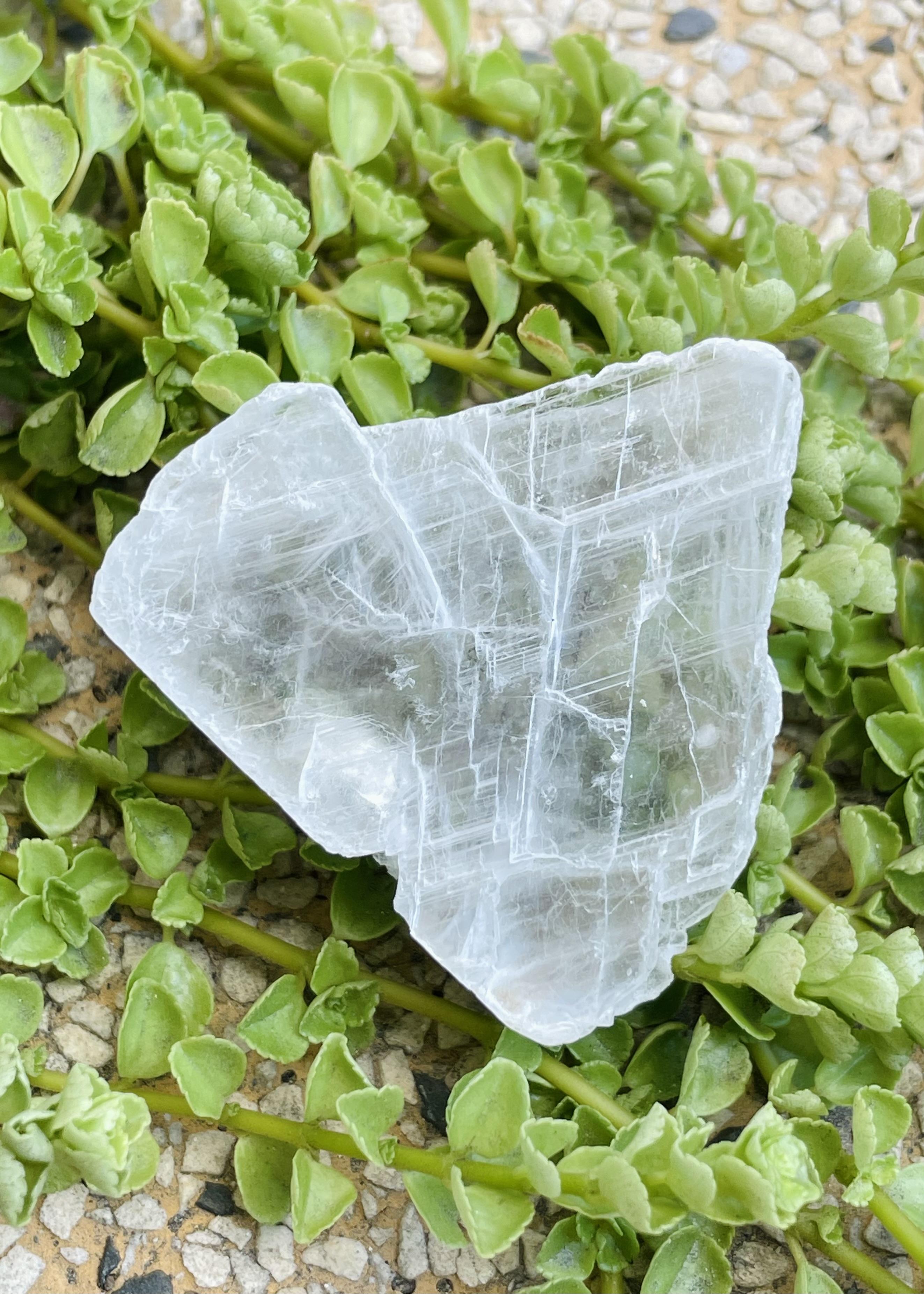 陪伴系列小礦222