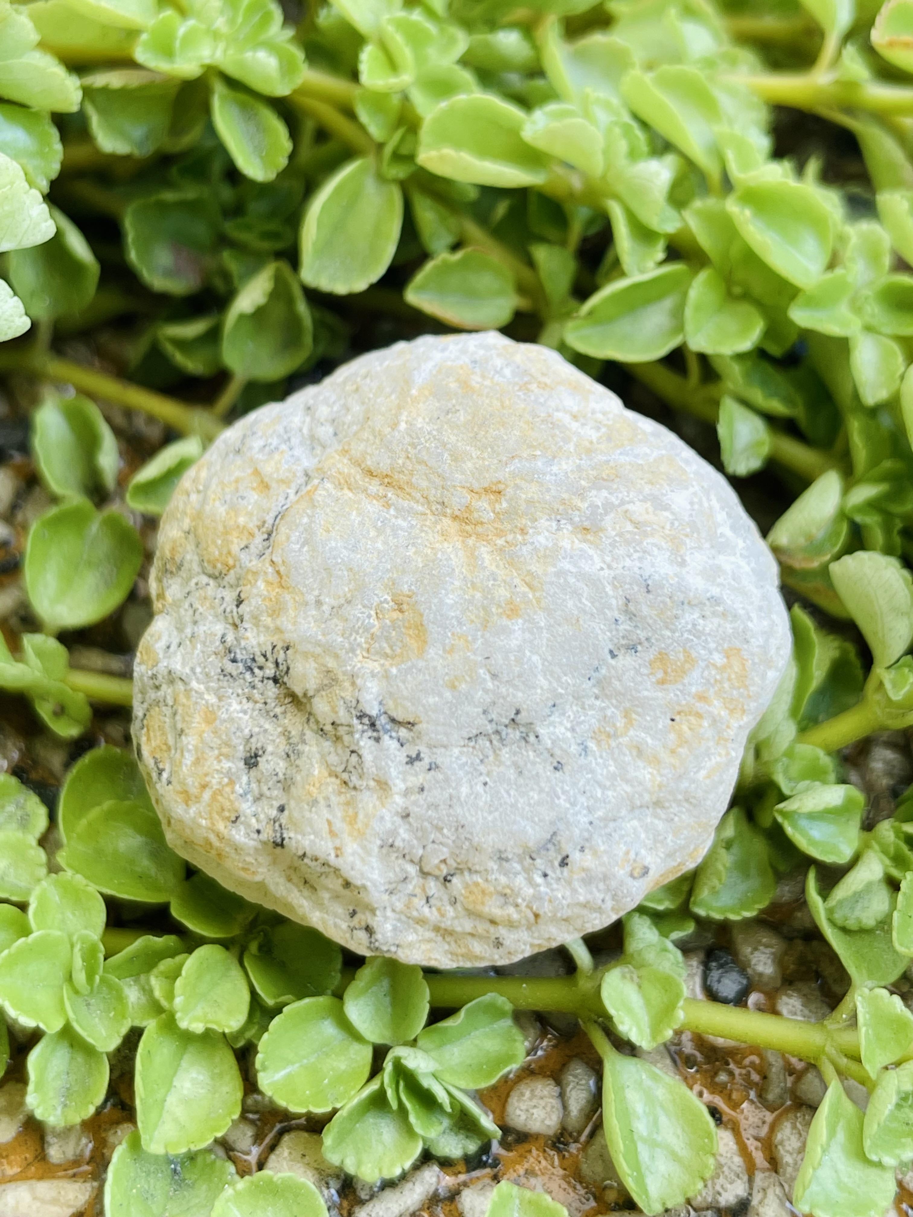 陪伴系列小礦111