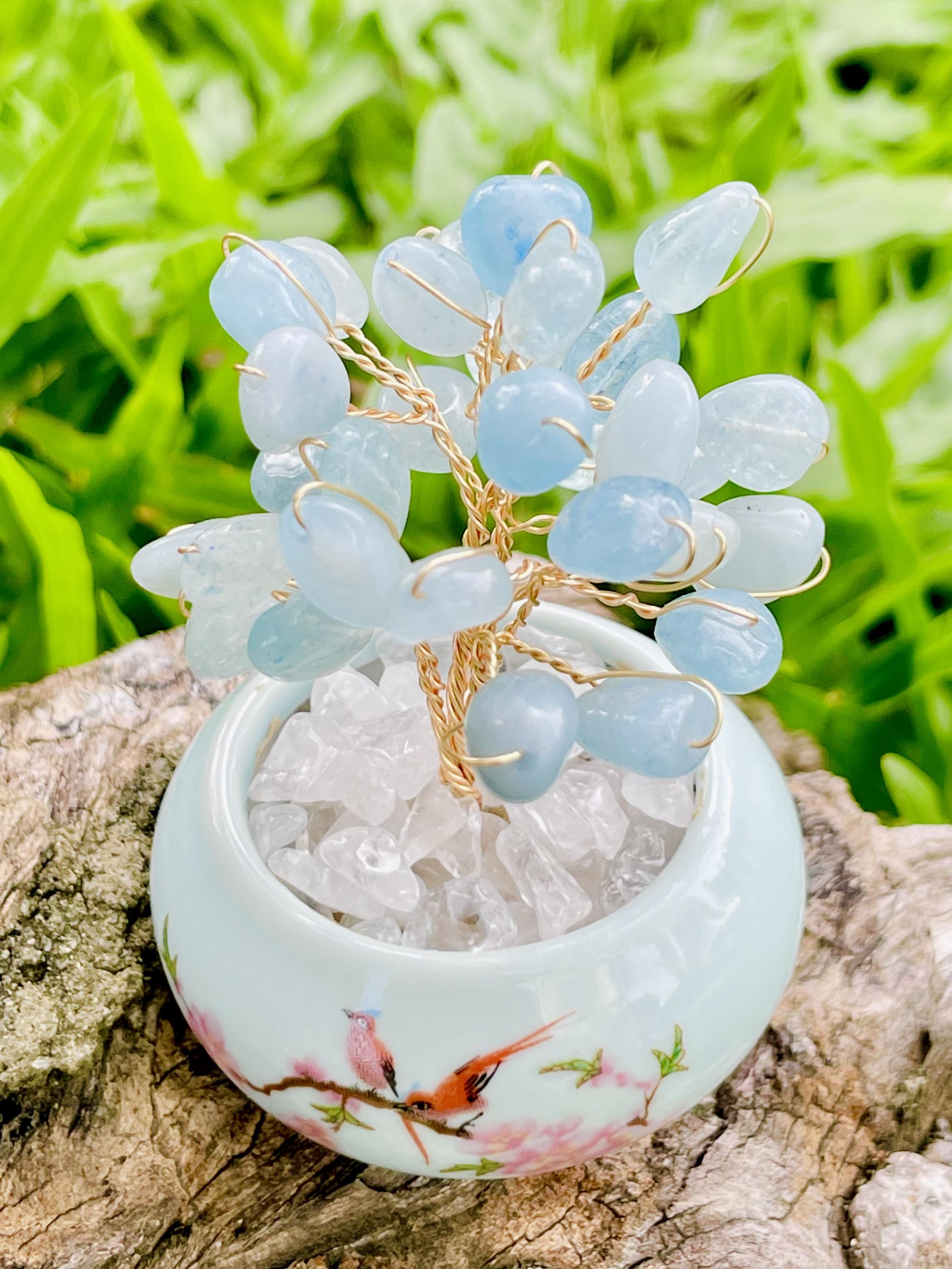 育樹｜海藍寶