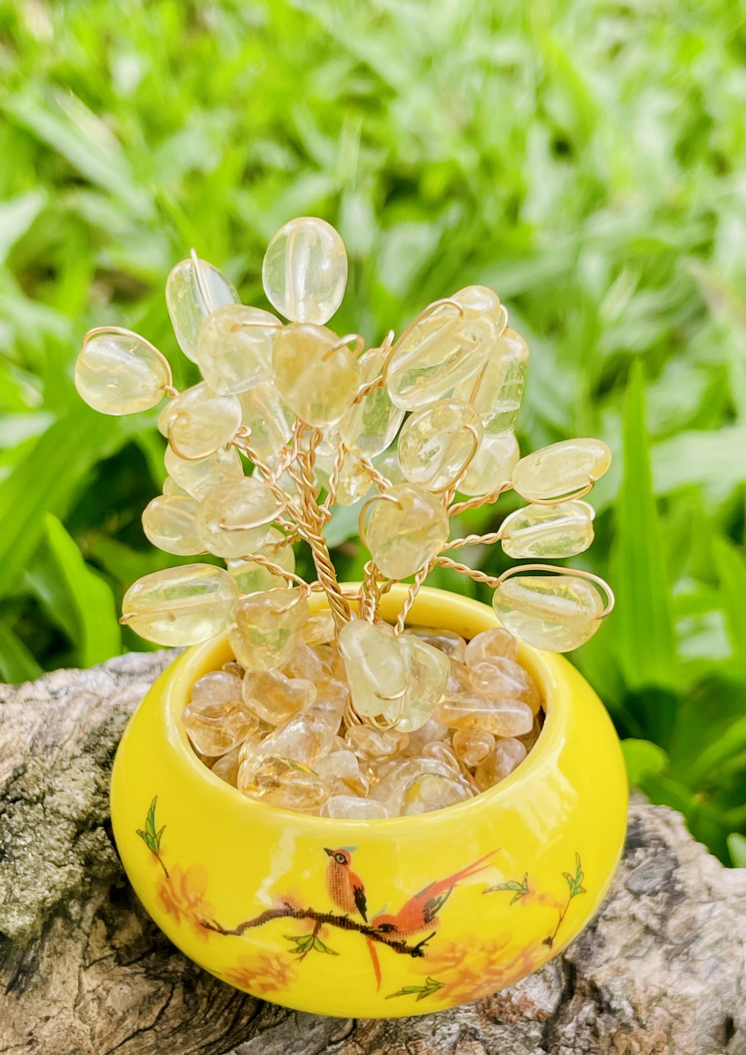 育樹｜黃水晶