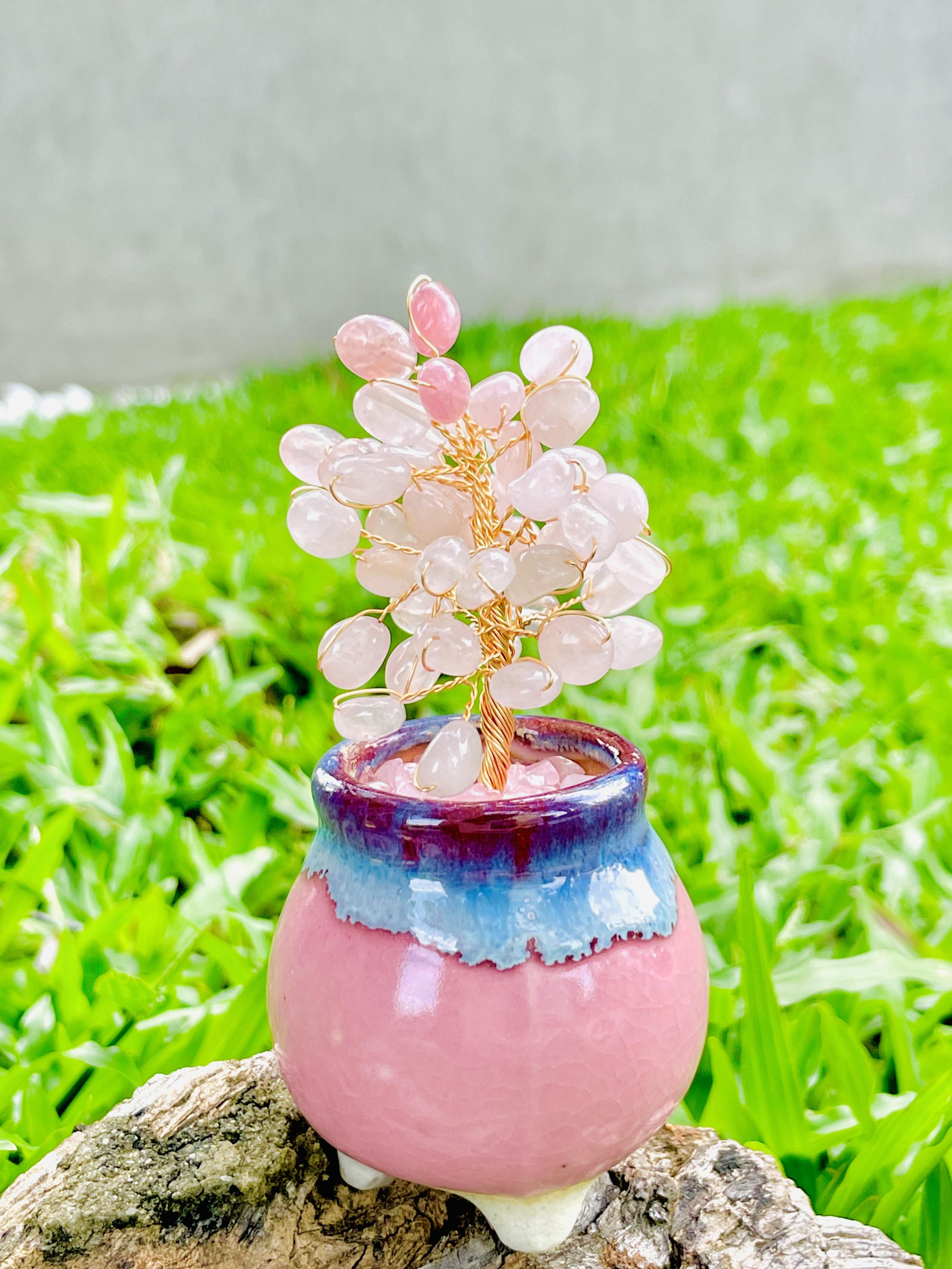 植樹｜粉晶