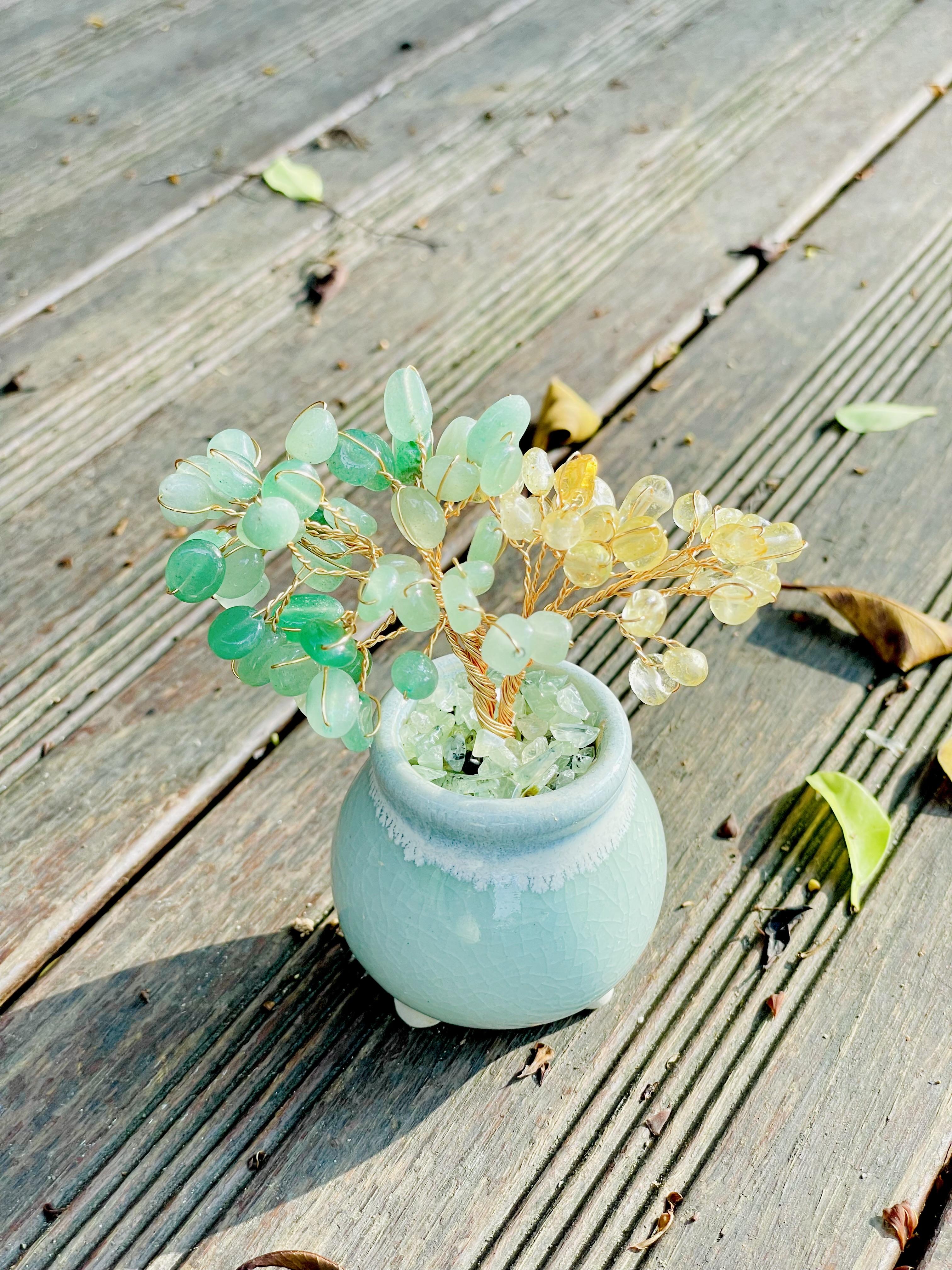 植樹｜東菱玉、黃水晶