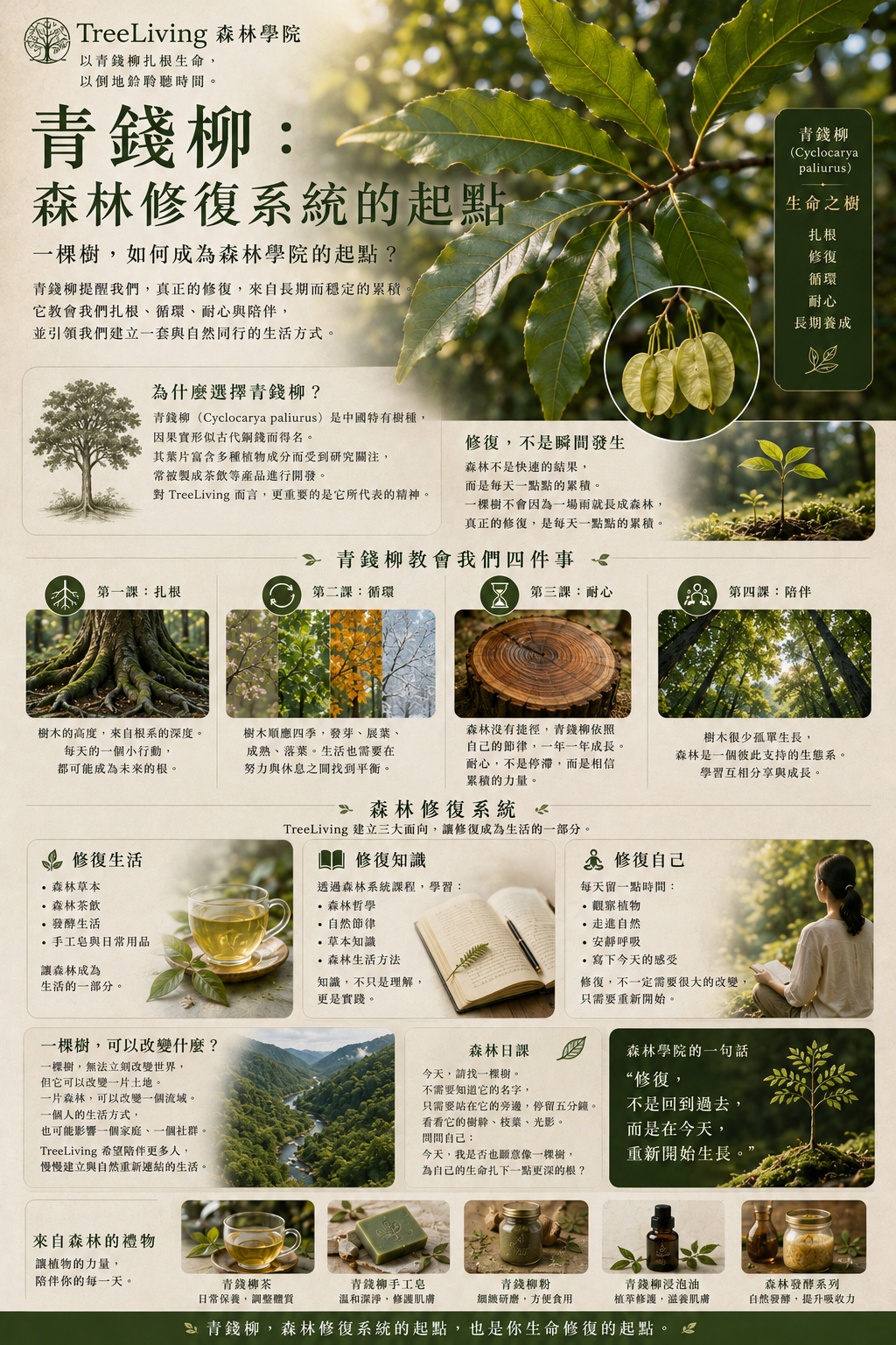 第7篇 青錢柳：森林修復系統的起點