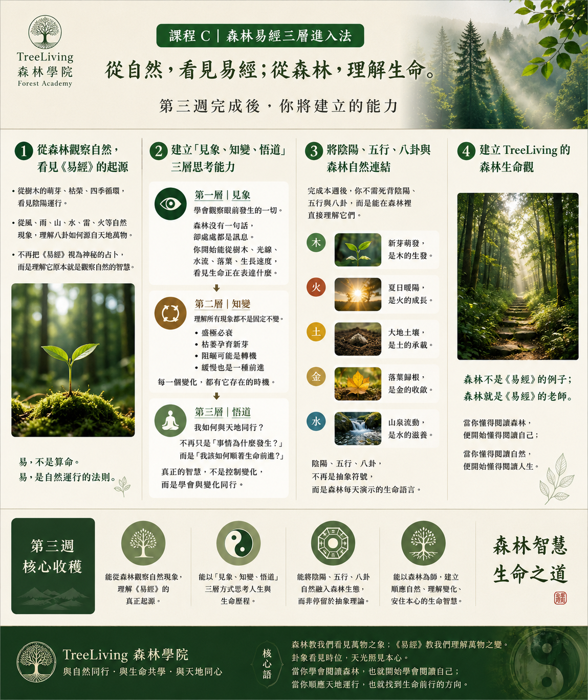 課程 C｜森林易經三層進入法