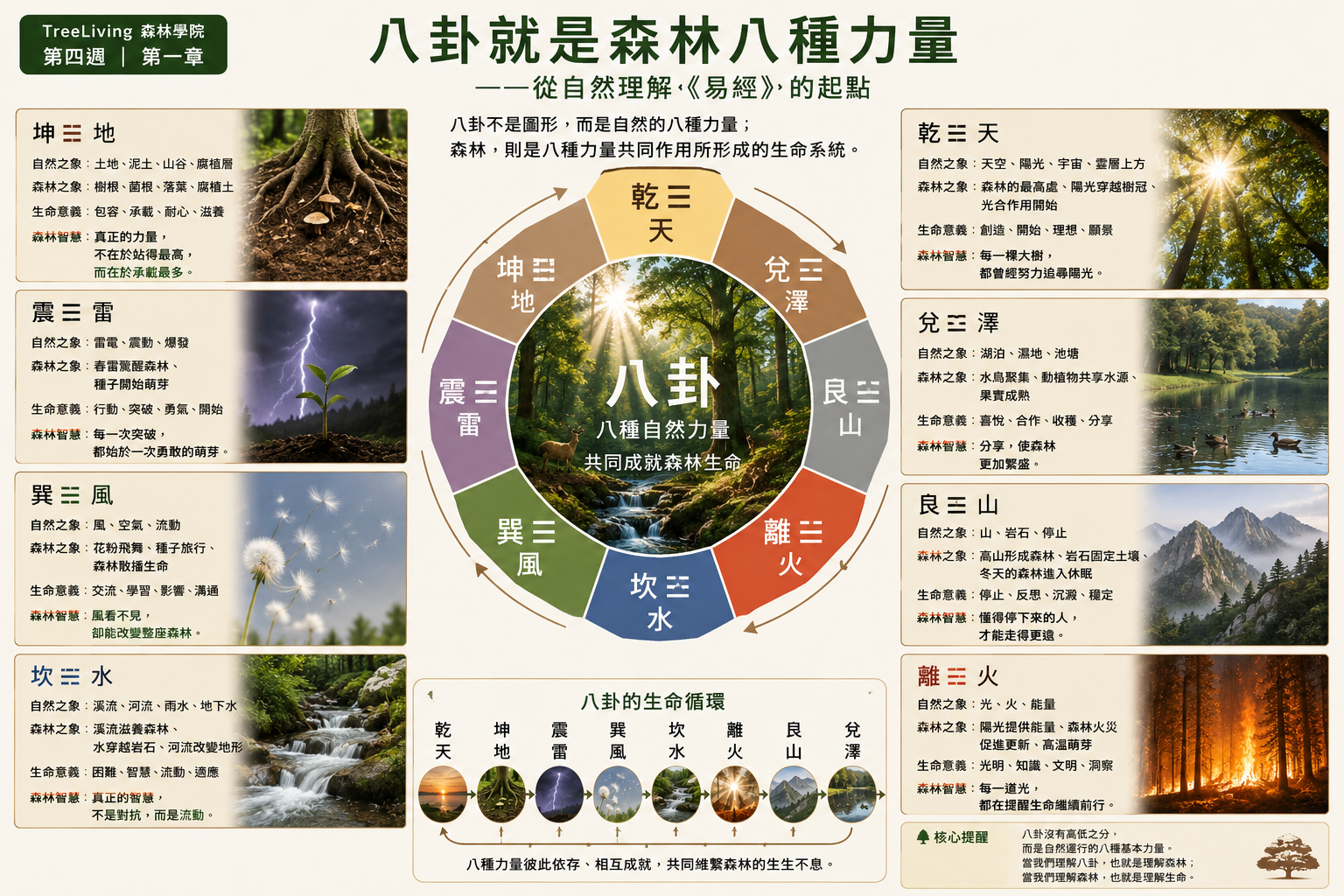 第一章｜八卦就是森林八種力量