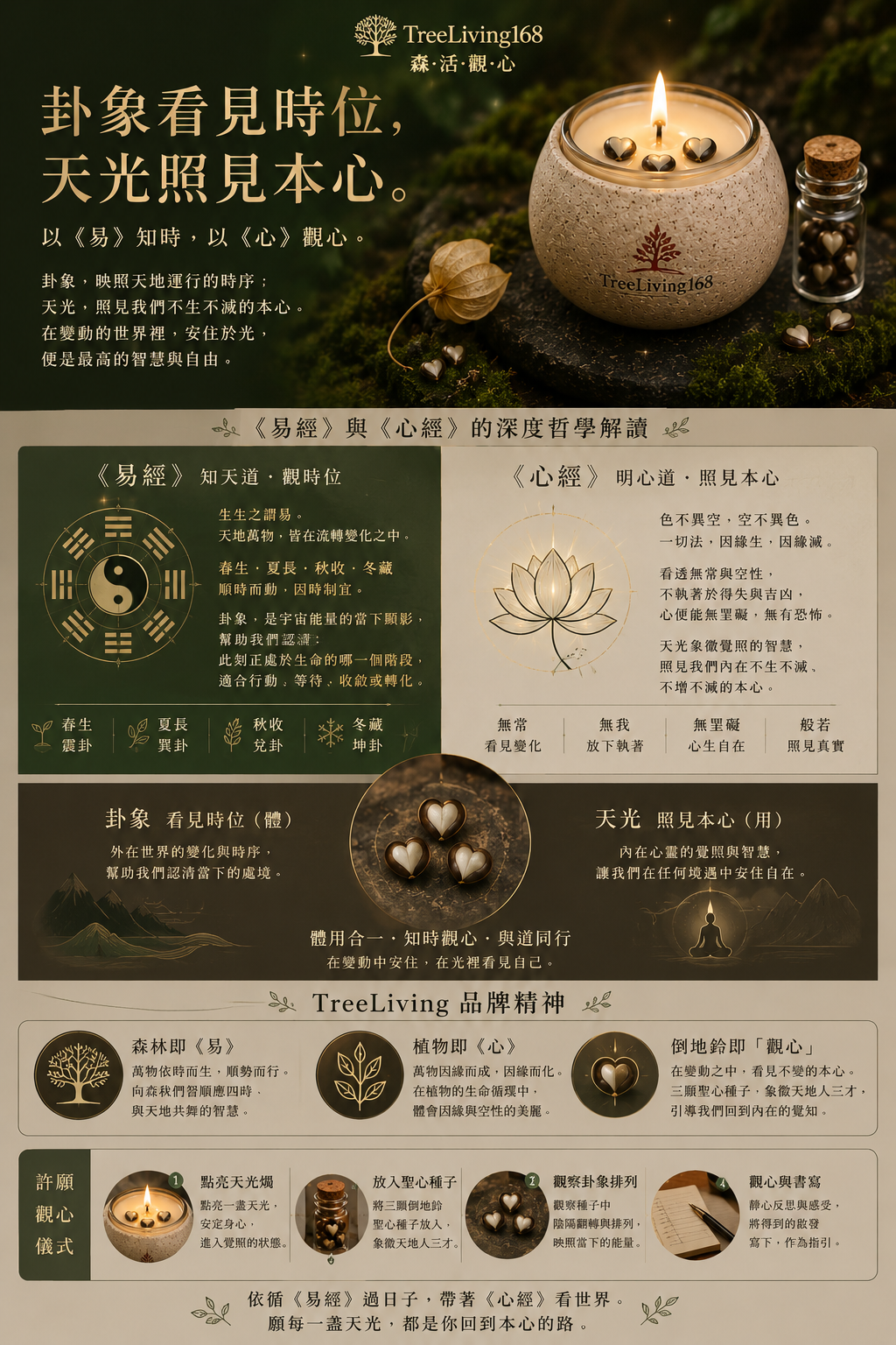 一盞天光，照見本心