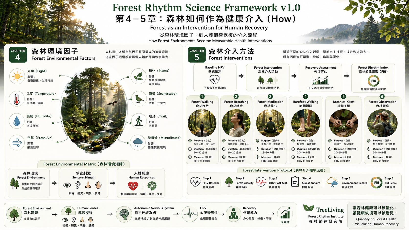 第 4–5 章：說明森林如何作為介入方式（How）