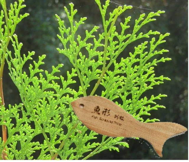 原木便攜式_魚形刮板