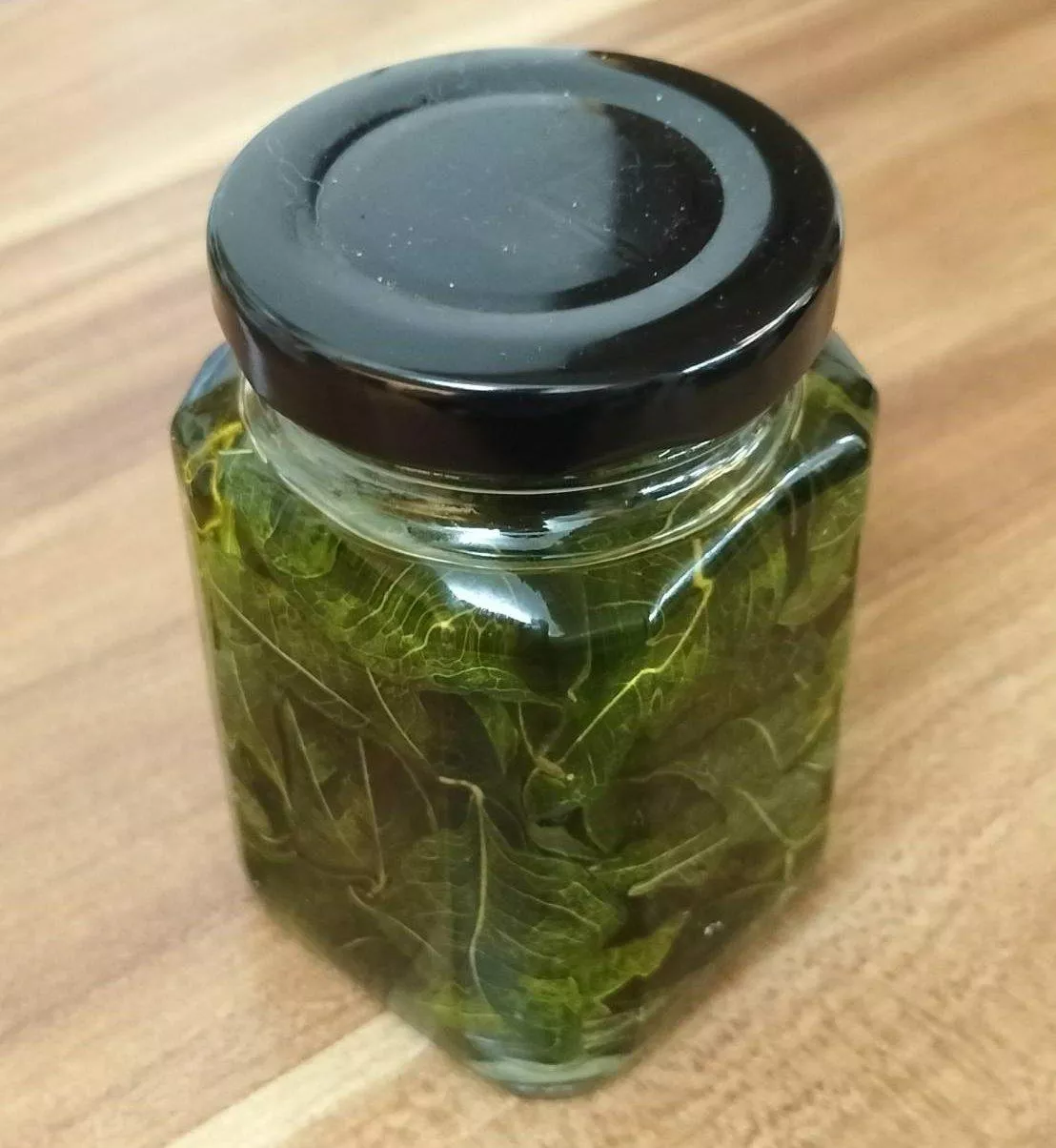 森林舒心按摩油 – 咖哩葉