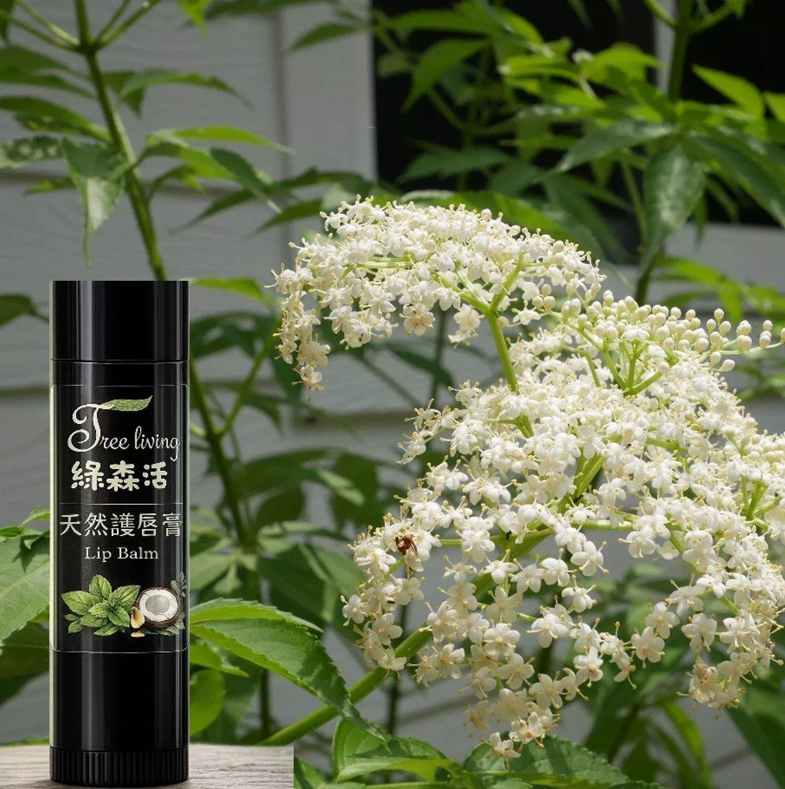 「綠森活冇骨消葉護唇膏 – TreeLiving」