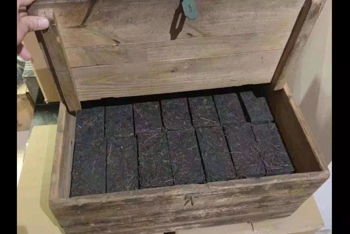 🫖2015年 桂北野生磚(約240克) 六堡茶🫖檳榔香 參香 松煙香 口感飽滿 湯感細腻 香氣高揚 信德茶行🫖普洱茶🫖